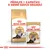 ROYAL CANIN Persian Adult granule a kapsička, nápis: Přidejte 1 kapsičku k denní dávce granulí. Na obalech obrázek perské kočky.
