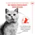 Royal Canin Appetite Control Care AirLift Mousse Royal Canin Appetite Control Care AirLift Mousse