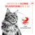 Royal Canin Digestive Care AirLift Mousse