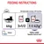 Feeding guide for 4kg cat: 3½ pouches or 1 pouch plus 42g dry food per day. Metabolisable energy: 695 kcal/kg. Water. Royal Canin Appetite Control Care.
