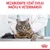 NEZABUDNITE VZIAŤ SVOJU MAČKU K VETERINÁROVI. Text na obrázku s mačkou na vyšetrovacom stole a osobou v bielom plášti, logo Royal Canin vpravo dole.