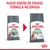Royal Canin Care Digestive para gatos, muestra cambio de diseño de envase y texto: 'Nuevo diseño de envase, fórmula mejorada'. Resultados probados -49 % y 95 % visibles en los paquetes.