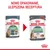 Nowe opakowanie i ulepszona receptura karmy Royal Canin Digestive Care 85 g dla kotów. Porównanie starego i nowego opakowania z widocznymi nazwami i informacjami na froncie.