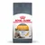 Sachet de croquettes Royal Canin Hair & Skin Care pour chat, texte visible : supports a healthy skin and a shiny coat, over 90 % of owners observed good skin and coat quality after 3 weeks.