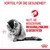 Vorteil für die Gesundheit: Hilft, die Reduzierung der Haarballenbildung zu unterstützen. Bild einer Katze und Royal Canin Logo.