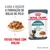 ROYAL CANIN Hairball. Ajuda a reduzir a formação de bolas de pelo. Fatias finas com molho. Reduces hairball formation in 14 days*. Imagem de comida húmida para gatos e um gato.