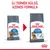 ROYAL CANIN CARE LIGHT WEIGHT macskaeledel régi és új csomagolása. Felirat: Új termék külső, azonos formula. 90% eredményesség, macskás illusztráció mindkét csomagon.