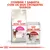 ROYAL CANIN Feline Preference AROMA Exigent e ROYAL CANIN INSTINCTIVE 85 g. Texto: Combine 1 saqueta com os seus croquetes diários.