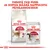 ROYAL CANIN Regular Fit 32 -kuivaruoka ja Instinctive 85 g märkäruoka kissoille. Teksti: Yhdistä yksi pussi ja sopiva määrä nappuloita päiväannokseksi.