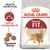 Royal Canin Regular Fit