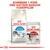 Royal Canin Home Life Indoor 27 tørfoder og Royal Canin Instinctive vådfoder 85 g. Tekst: Kombiner 1 pose med kattens daglige foderpiller.