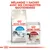 Mélangez 1 sachet avec ses croquettes quotidiennes. Paquet Royal Canin Home Life Indoor 27 et sachet Royal Canin Instinctive 85 g visibles.