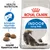 Royal Canin Indoor Long Hair macskaeledel csomag, szöveggel: Szőrlabda képződés csökkentése, Adaptált tápszemcse méret, Health Nutrition. Hosszú szőrű macska illusztrációval. Royal Canin Indoor Long Hair macskaeledel csomag, szöveggel: Szőrlabda képződés csökkentése, Adaptált tápszemcse méret, Health Nutrition. Hosszú szőrű macska illusztrációval.