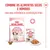 Royal Canin Kitten em gelatina