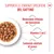 Royal Canin Kitten Sterilised in Salsa