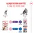 Recommandation d'alimentation pour chats : Royal Canin Kitten Sterilised de 6 à 12 mois, à partir de 12 mois Royal Canin Sterilised ou Light Weight Care selon les besoins. Recommandation d'alimentation pour chats : Royal Canin Kitten Sterilised de 6 à 12 mois, à partir de 12 mois Royal Canin Sterilised ou Light Weight Care selon les besoins.