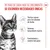 Royal Canin FHN Sterilised Kitten en gelatina