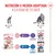Royal Canin FHN Sterilised Kitten en gelatina