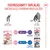Royal Canin FHN Sterilized Kitten aszpikban