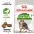 Bag labelled Active Life Outdoor 7+, showing a cat, vitality complex icon, adapted kibble size and health nutrition text. Highlights features for older outdoor cats.