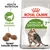 ROYAL CANIN Active Life Outdoor 7+ kattefoder, tekst: Health Nutrition, Vitalitets kompleks, Tilpasset foderpille størrelse. Billede af tørfoder og kat på posen. ROYAL CANIN Active Life Outdoor 7+ kattefoder, tekst: Health Nutrition, Vitalitets kompleks, Tilpasset foderpille størrelse. Billede af tørfoder og kat på posen.