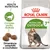 ROYAL CANIN Active Life Outdoor 7+, imagine cu pisică, text: Complex pentru vitalitate, Dimensiune adaptată a crochetelor, Health Nutrition. Crochete vizibile lângă ambalaj. ROYAL CANIN Active Life Outdoor 7+, imagine cu pisică, text: Complex pentru vitalitate, Dimensiune adaptată a crochetelor, Health Nutrition. Crochete vizibile lângă ambalaj.