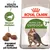 Royal Canin Active Life Outdoor 7+ kattfoder, text: Bevarar vitaliteten, Anpassad storlek på torrfodret, bild på foderbitar och katt på förpackningen.