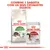 ROYAL CANIN Active Life Outdoor ração seca para gatos e ROYAL CANIN Instinctive saqueta 85 g. Texto: Combine 1 saqueta com os seus croquetes diários. ROYAL CANIN Active Life Outdoor ração seca para gatos e ROYAL CANIN Instinctive saqueta 85 g. Texto: Combine 1 saqueta com os seus croquetes diários.