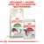 Mélangez 1 sachet avec ses croquettes quotidiennes. Paquet Royal Canin Active Life Outdoor et sachet Royal Canin Instinctive 85 g pour chats visibles.