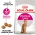 Royal Canin PROTEIN Exigent -kissanruokapakkaus, tekstit: Health Nutrition, Mieltymys proteiiniin, Mukautettu nappulan koko. Näkyvissä ruskeita nappuloita ja kissa.