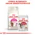 Pachet hrană uscată Royal Canin Savour Exigent și plic hrană umedă Royal Canin Instinctive pentru pisici. Text vizibil: Oferiți alternativ hrană umedă potrivită.