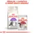 ROYAL CANIN Regular Sensible 33 granule a ROYAL CANIN Instinctive kapsička 85 g. Text: Přidejte 1 kapsičku k denní dávce granulí.