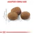 Three kibble pieces shown with a 1cm scale and the text 'Adapted Kibble Size', highlighting the product's specific kibble dimensions.