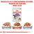 Royal Canin Sterilised Katzenfutter, erhältlich in 3 Texturen: Mousse, Sosse und Gelee. Verpackung zeigt 85g Beutel mit Gravy-Salsa-Geschmack.