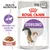 Royal Canin STERILISED, 85 g x12 sachets pour chat stérilisé, sauce. Texte visible : Maintien du poids de forme, Health Nutrition. Royal Canin STERILISED, 85 g x12 sachets pour chat stérilisé, sauce. Texte visible : Maintien du poids de forme, Health Nutrition.