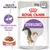 Royal Canin Sterilised, 85 g x12, salsa per gatti sterilizzati. Mantenimento del peso ideale. HEALTH NUTRITION. Immagine di un gatto e crocchette in salsa.