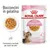 Royal Canin FHN Kitten Sterilised umido in Gelatina per gatti - 12 x 85 g Royal Canin FHN Kitten Sterilised umido in Gelatina per gatti - 12 x 85 g