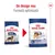 Royal Canin Maxi Adult, ambalaj vechi și nou cu text: Un design nou, Formulă optimizată. Ambalajul nou afișează Size L maxi adult, imagine câine, informații digestive vizibile.