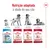 Nutrição adaptada à idade do cão. Royal Canin Puppy dos 2 até aos 12 meses, Medium Adult dos 12 meses até aos 7 anos, Medium Adult 7+ dos 7 até aos 10 anos, Medium Ageing 10+ após os 10 anos.