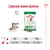 Zalecane dawki dzienne Royal Canin Mini Adult: dla psa 2 kg – 1/2 puszki + 23 g, 6 kg – 1/2 puszki + 84 g, 10 kg – 1/2 puszki + 134 g. Widoczne opakowania karmy suchej i mokrej.