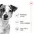 Manutenção do peso, ossos fortes e saudáveis, apoio ótimo à saúde – benefícios destacados com ícones ao lado de um cão. Marca Royal Canin visível no canto superior direito. Manutenção do peso, ossos fortes e saudáveis, apoio ótimo à saúde – benefícios destacados com ícones ao lado de um cão. Marca Royal Canin visível no canto superior direito.