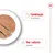 Comida húmida fatiada num prato com texto: 'Combinação de nutrientes' e 'Teor calórico adaptado'. Marca Royal Canin visível no canto superior direito.