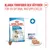 Royal Canin Starter Mother & Babydog Ultra Soft Mousse