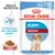 Royal Canin Puppy Medium natvoer, 140g x 10. Ondersteunt de natuurlijke afweer. Saus. HEALTH NUTRITION zichtbaar op verpakking. Royal Canin Puppy Medium natvoer, 140g x 10. Ondersteunt de natuurlijke afweer. Saus. HEALTH NUTRITION zichtbaar op verpakking.