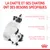 La chatte et ses chatons ont des besoins spécifiques : besoins énergétiques élevés, système immunitaire fragile, développement du système nerveux. Texte en français.