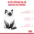 A kölyökmacskák igényei eltérőek. Törékeny immunrendszer, felfedezés időszaka, érzékeny emésztőrendszer. Royal Canin márkajelzés látható.