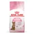 Product packaging showing kitten sterilised food for 6-12 months, with icons for strong immune system and growth and weight control. Stage 4 indicated.