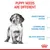 Image highlights that puppy needs are different, listing fragile immune system, learning and training period, and delicate digestive system as key points.