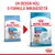 Royal Canin Puppy Medium, greutate adult 11–25 kg. Ambalaj vechi și nou cu text: Un design nou, o formulă îmbunătățită. Pe ambalaj nou scrie: 2–12 months/mois.