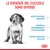 Le esigenze del cucciolo sono diverse: difese naturali immature, periodo di apprendimento e di educazione, sistema digestivo delicato. Marchio Royal Canin visibile.